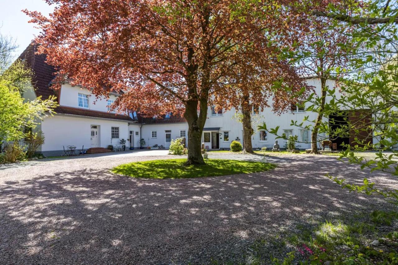Denkerhof Ferienwohnung Deichblick Reußenköge Buitenkant foto